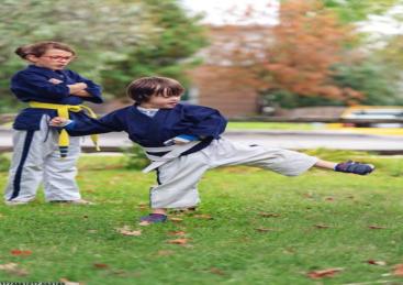 体育工艺集成服务